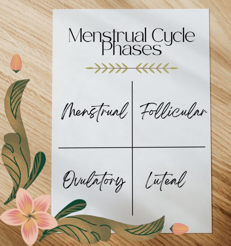 Menstrual Cycle Phases - 1